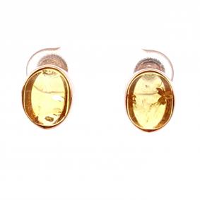 Серьги из золочёного серебра Дарвин 122022058ba-л с янтарём 122022058ba-л фото
