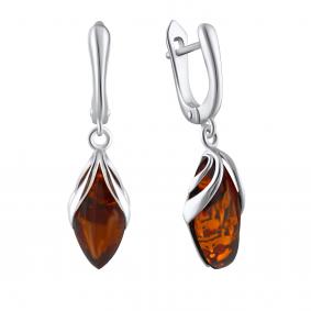 Серебряные серьги Дарвин 929041023bb-к 929041023bb-к фото