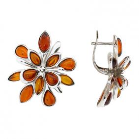 Серебряные серьги Дарвин 929041183aa-к с янтарём 929041183aa-к фото