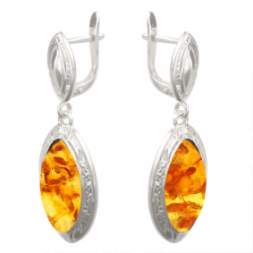 Серебряные серьги Дарвин 929041256-ск с янтарём 929041256-ск фото