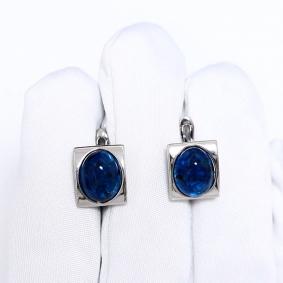 Серебряные серьги Дарвин 929251016aa-с с янтарём 929251016aa-с фото