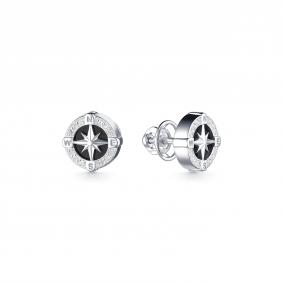 Серебряные серьги Дар С-3904рп21600 с фианитом С-3904рп21600 фото