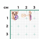 Золотые серьги Platina 02-4877-00-716-1110 с аметистом и кварцем