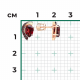 Золотые серьги Platina 02-5180-00-204-1110 с гранатом