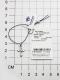 Серебряная подвеска АЛЬКОР 03-1545/00КЦ-00 с фианитом