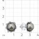 Серьги из белого золота Мастер Бриллиант 05M2-202203-00-24 с бриллиантом и жемчугом