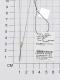 Серебряное колье Спичка АЛЬКОР с золотой накладкой и бриллиантом 06-1785/000Б-00