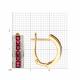 Золотые серьги Diamant 51-220-01064-1 с бриллиантом и рубином