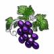 Серебряная брошь SOKOLOV 94040274-91 с эмалью