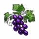 Серебряная брошь SOKOLOV 94040274 с эмалью