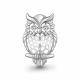 Серебряная брошь AQUAMARINE А77491А с фианитом