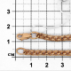 Золотая цепь плетение Бисмарк Красносельский ювелир АБ-060-Ц