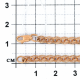 Золотая цепь плетение Бисмарк Красносельский ювелир АБД-040-Ц