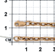 Золотая цепь плетение Якорное Красносельский ювелир АЯк-0,9-Ц