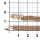 Золотая цепь плетение Питон Красносельский ювелир П-050-Ц